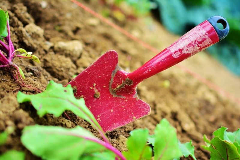 sasu-BANDOL-min_gardening-2448134